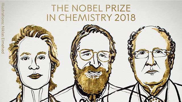 Illustration of the winners of Chemistry Nobel Prize: Frances H. Arnold, George P. Smith and Sir Gregory P. Winter.