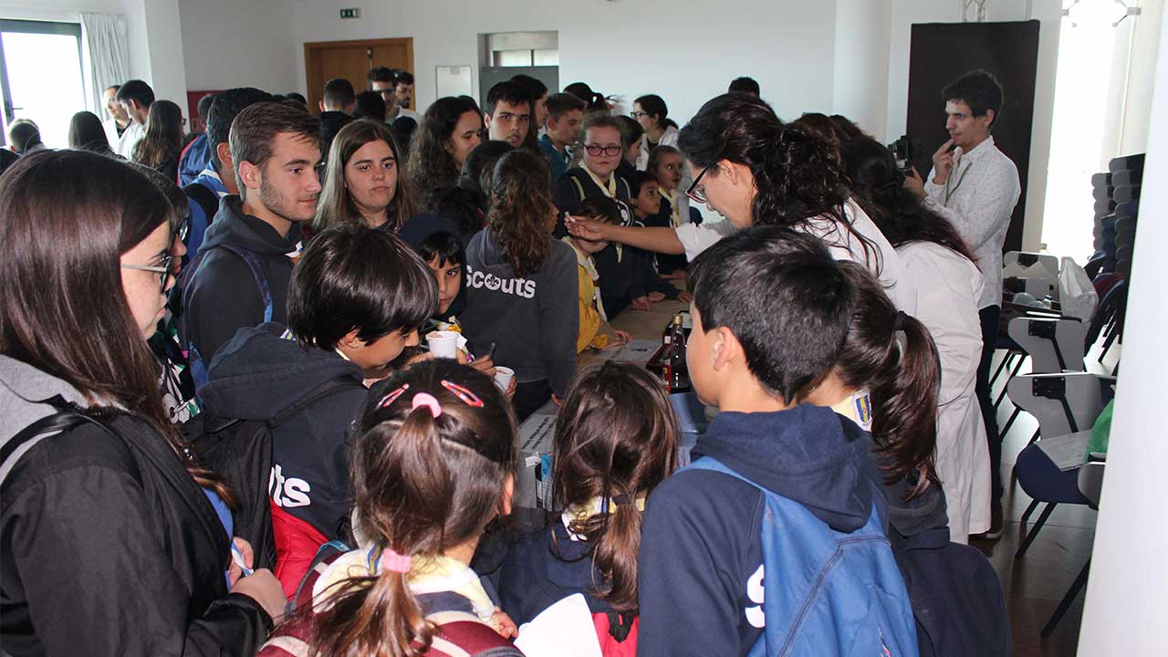 Visitors of the Bridging the Gap at Porto Moniz on April 25th.