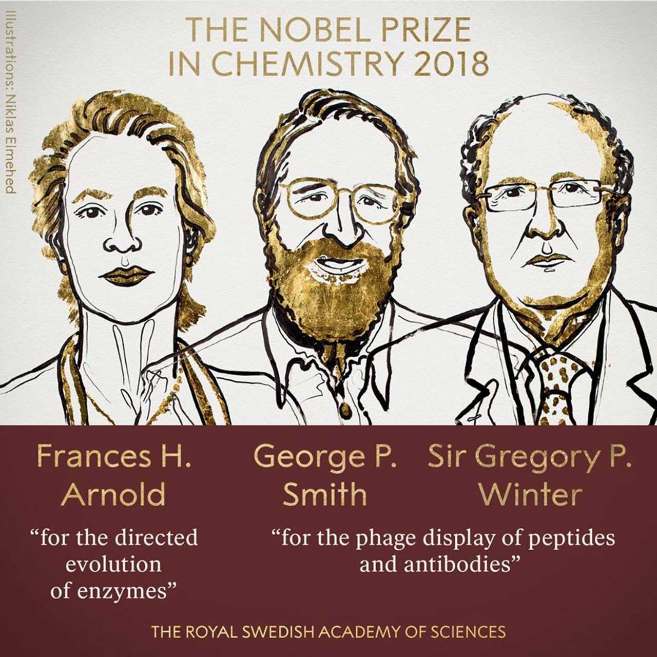 Illustration of the winners of Chemistry Nobel Prize: Frances H. Arnold, George P. Smith and Sir Gregory P. Winter.