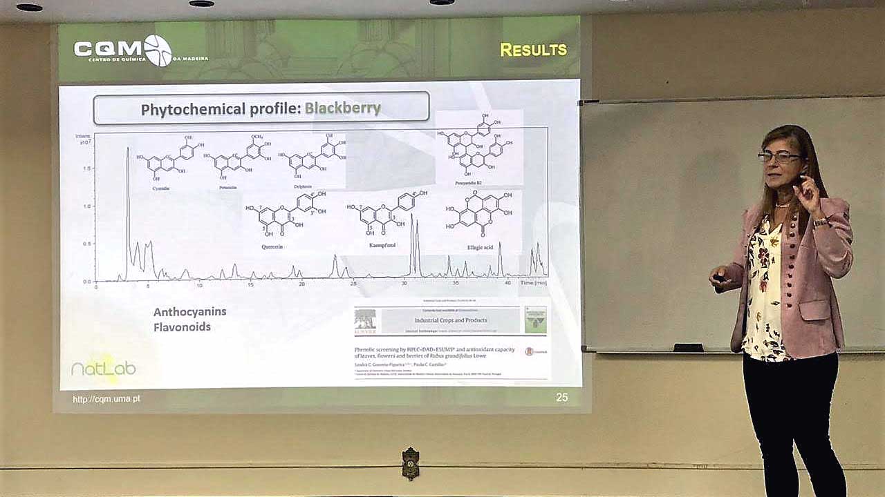 Paula Castilho presenting work on nutraceuticals and functional foods.