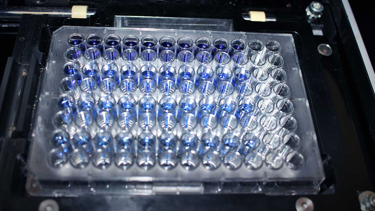 Microplate being analysed at CQM's Fluorescence Techniques Lab.