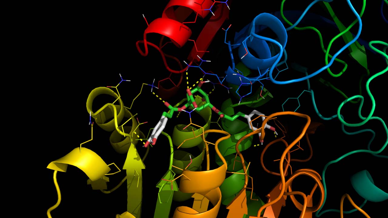 Representation of NAD+ cofactor binding to an enzyme.