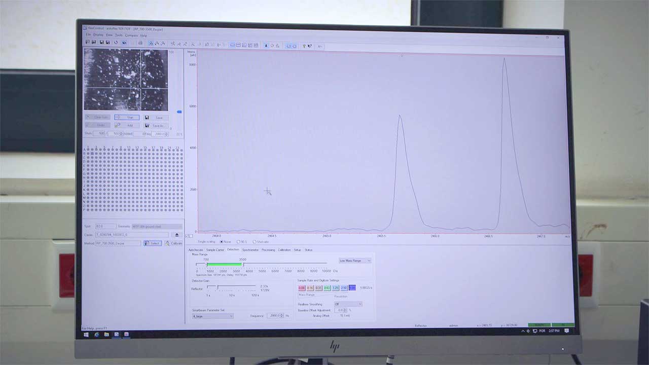 Sample spectra on CQM's MALDI-TOF Spectrometer.