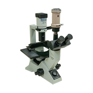 Olympus CK40 Inverted Microscope