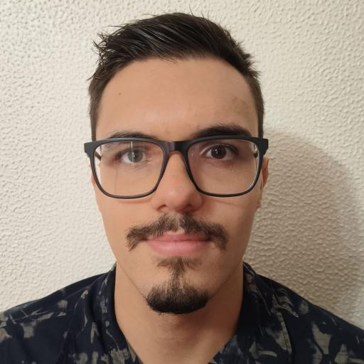 Guilherme José Vieira Ribeiro
